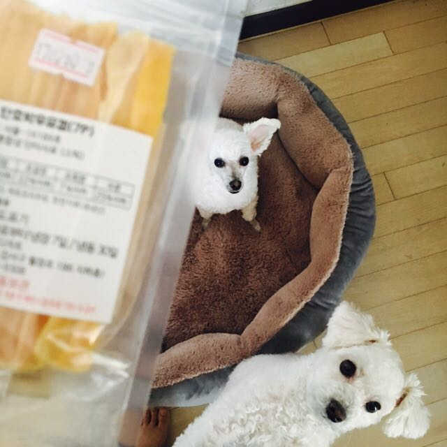 호두의디저트 단호박우유껌 리뷰 사진