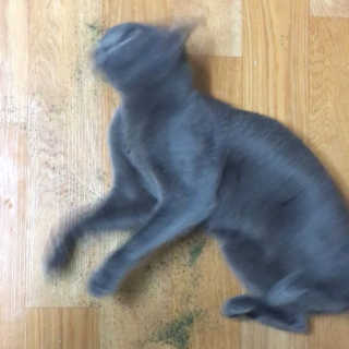 미애님이 올린 리뷰 사진 1