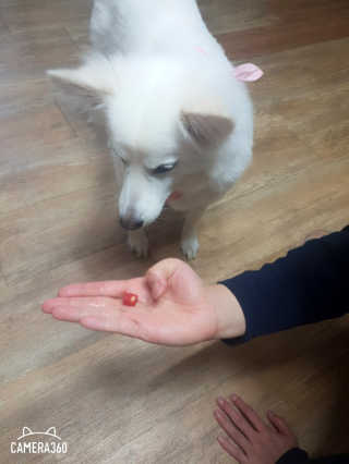 서희석님이 올린 리뷰 사진 2