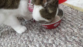 SadieSideshow님이 올린 리뷰 사진 4