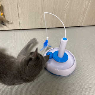 lililiya님이 올린 리뷰 사진 2