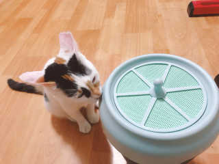 아꽁님이 올린 리뷰 사진 3