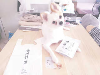 꿀꿀이님이 올린 리뷰 사진 1