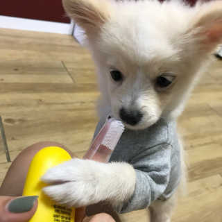 ym0119님이 올린 리뷰 사진 2