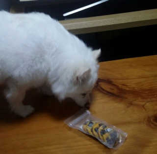 소라빵님이 올린 리뷰 사진 3