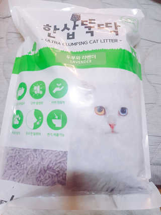 [펫토리아] BEST 고양이두부모래 6L 한삽뚝딱 — 5점을 준 리뷰어가 2019년 1월 올린 사용 사진