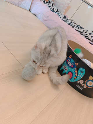 홍이님이 올린 리뷰 사진 1