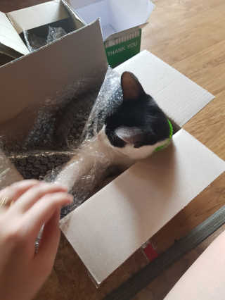 동그라미님이 올린 리뷰 사진 3