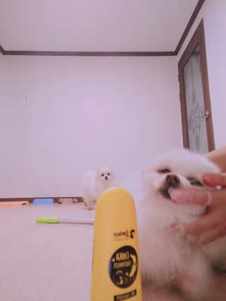 하은맘님이 올린 리뷰 사진 2