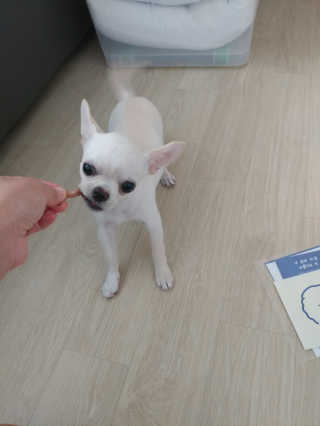 문띠님이 올린 리뷰 사진 1