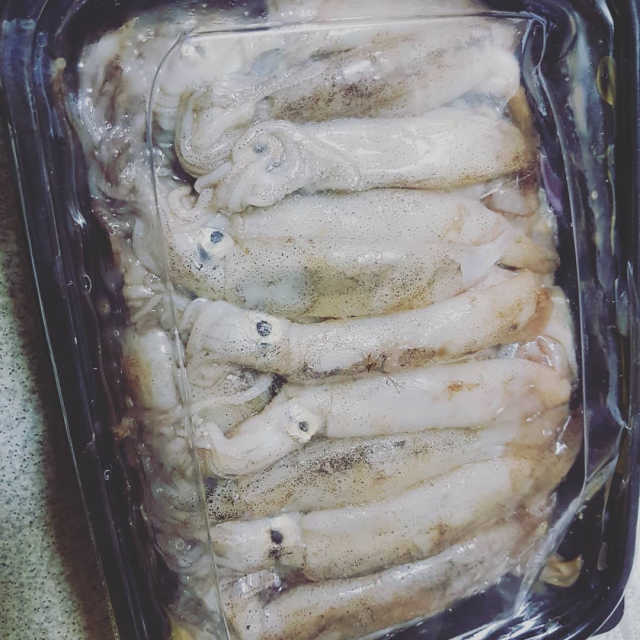 동해안 총알오징어 리뷰 사진
