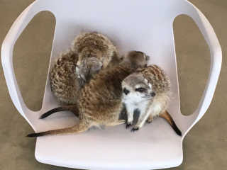 요조숙녀님이 올린 리뷰 사진 4