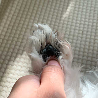 silvermoon님이 올린 리뷰 사진 2