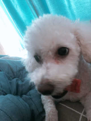 태풍님님이 올린 리뷰 사진 2