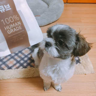 들갑님이 올린 리뷰 사진 2