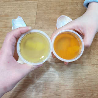 데르뜨 떠먹는 과일 3종, 짜먹는 과일 2종 총 10개 체험 — 4점을 준 리뷰어가 2020년 3월 올린 사용 사진