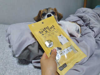 [펫토리아]짜먹는 한입뚝딱 강아지.고양이 마약간식 — 4.5점을 준 리뷰어가 2019년 8월 올린 사용 사진