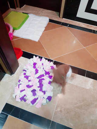 서지선님이 올린 리뷰 사진 4