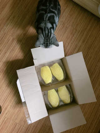 루시루시루시님이 올린 리뷰 사진 2