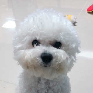 스페이스정님이 올린 리뷰 사진 3