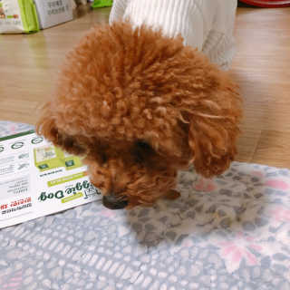 파이님이 올린 리뷰 사진 3
