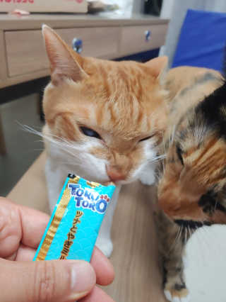오나오나님이 올린 리뷰 사진 2