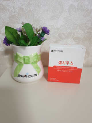 beaglelove님이 올린 리뷰 사진 1