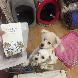 정혜원님이 올린 리뷰 사진 2