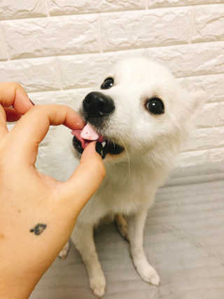버내노님이 올린 리뷰 사진 3