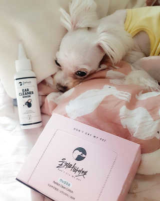상선언니님이 올린 리뷰 사진 2