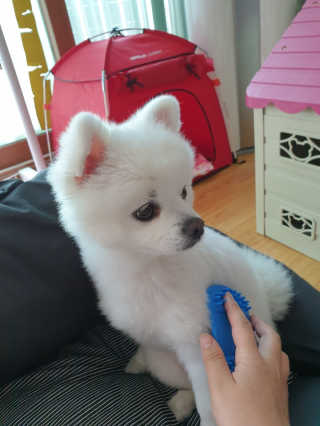겸둥이연우맘님이 올린 리뷰 사진 2
