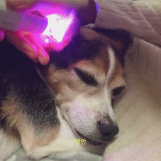 노나나님이 올린 리뷰 사진 4