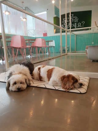 Lamant님이 올린 리뷰 사진 4