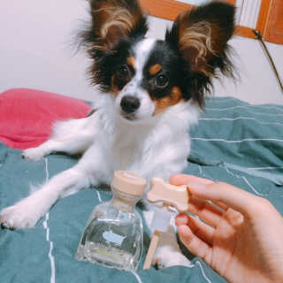 큡빠님이 올린 리뷰 사진 2