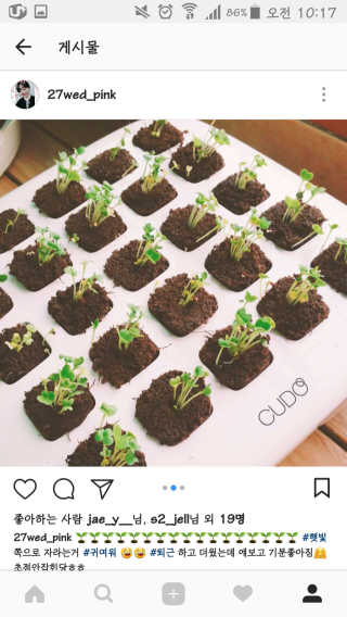 고솔비님이 올린 리뷰 사진 4