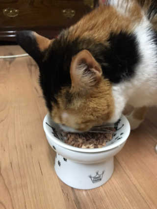 이써늬님이 올린 리뷰 사진 3