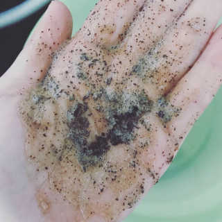 필링빈 piiling bean Facial Coffee Scrub Cleanser 3 Pack — 5점을 준 리뷰어가 2019년 3월 올린 사용 사진