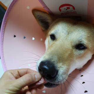 happyfactory님이 올린 리뷰 사진 3