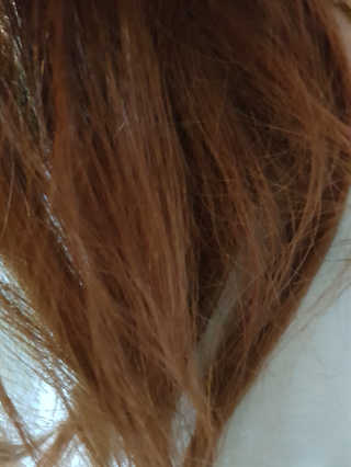 사우루스님이 올린 리뷰 사진 1