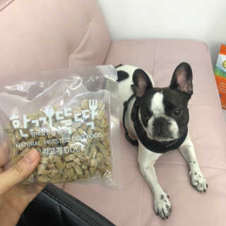 [펫토리아] 맛도 영양도 BEST 한끼뚝딱 강아지 사료 — 5점을 준 리뷰어가 2019년 4월 올린 사용 사진