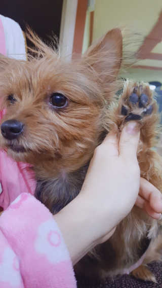 알P님이 올린 리뷰 사진 1