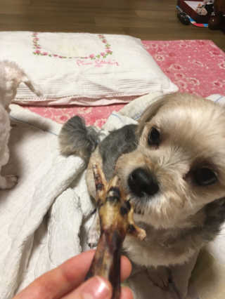 쮸동비님이 올린 리뷰 사진 3