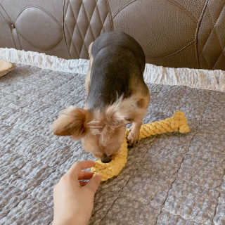jeany91님이 올린 리뷰 사진 2