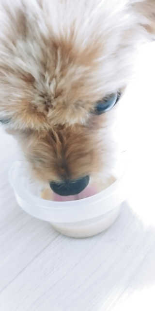조태현님이 올린 리뷰 사진 2