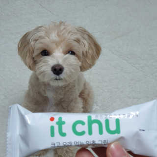 미루맘마님이 올린 리뷰 사진 1