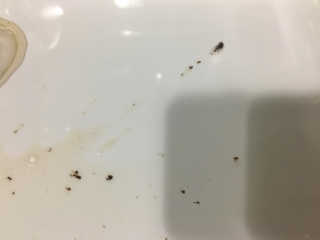 o8님이 올린 리뷰 사진 3