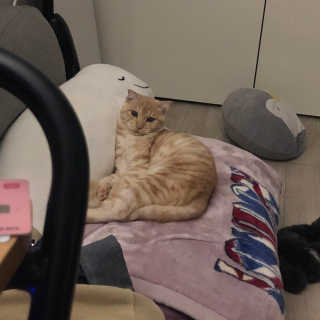 김민지님이 올린 리뷰 사진 3