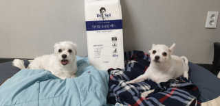 지혴님이 올린 리뷰 사진 1