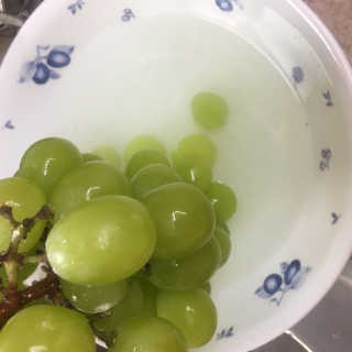 별톱님이 올린 리뷰 사진 3