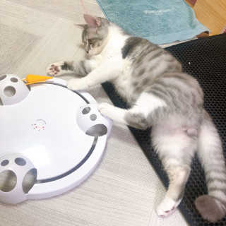 sb6567님이 올린 리뷰 사진 3